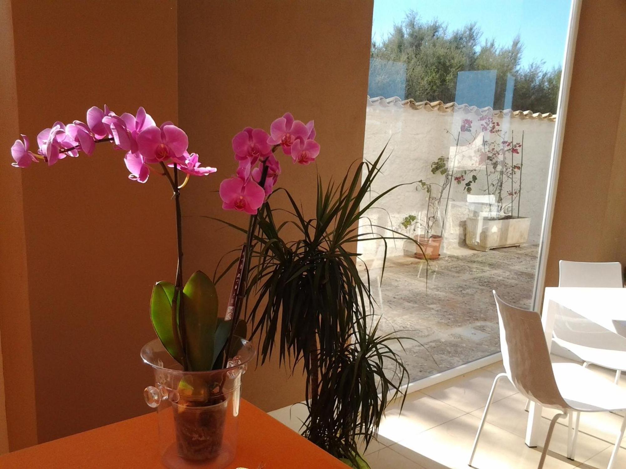 Suitebeach B&B And Resort Marsala Extérieur photo